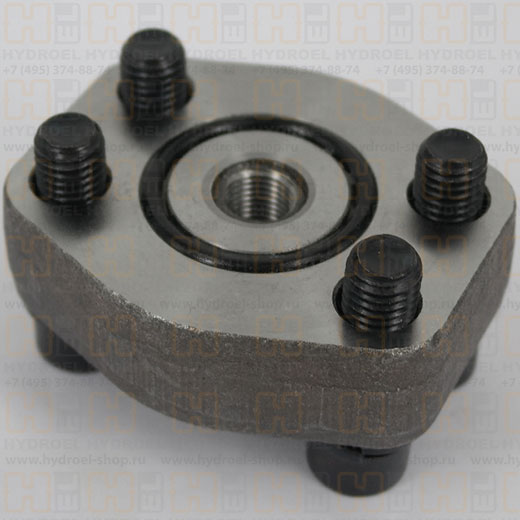 300009007 заглушка напорная 1 (6000 psi) с тестирующим портом G1/4 для ...