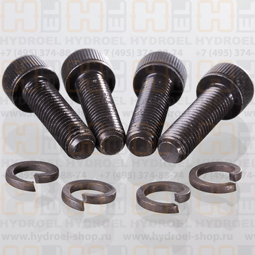 Комплект болтов фланца SAE AFS80SCHRM