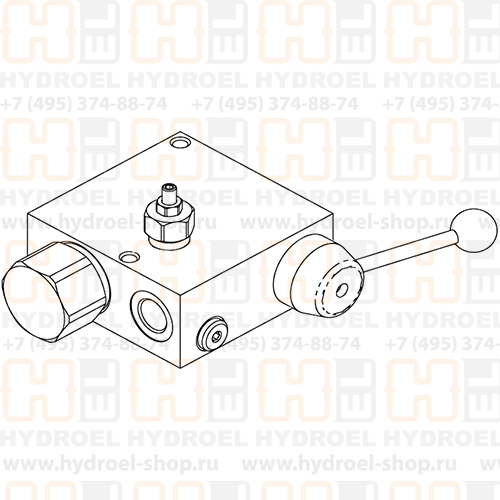 VPR/3/ET/VMP 100/L/03.TS 1623051102